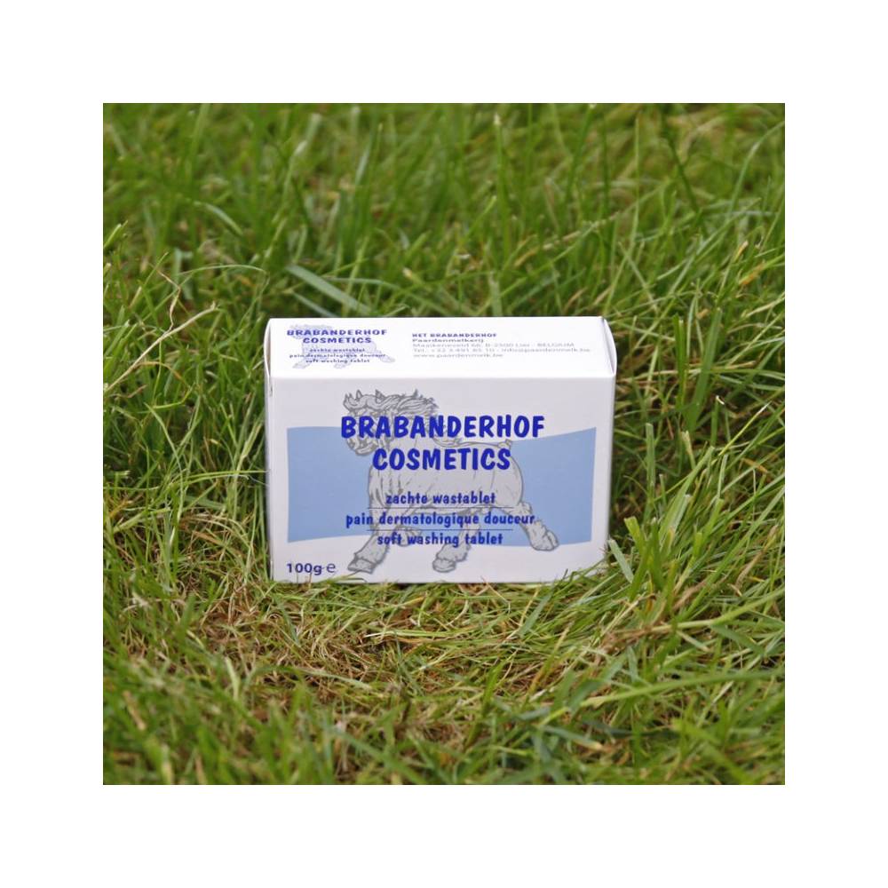 Kostka myjąca z MLEKIEM KLACZY 100 g