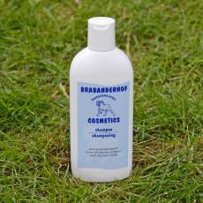 Szampon do włosów z MLEKIEM KLACZY 250 ml