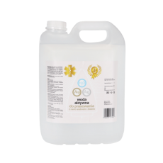 Woda aktywna do prasowania z nano srebrem i złotem 5L, System EGP