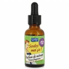 Retro Naturalny olejek zapachowy do domu i dodatek zapachowy do produktów bezzapachowych mięta i rozmaryn 30 ml- Etamine du Lys