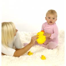 Pajacyk jedwabny, leczniczy na AZS, SKINNIES